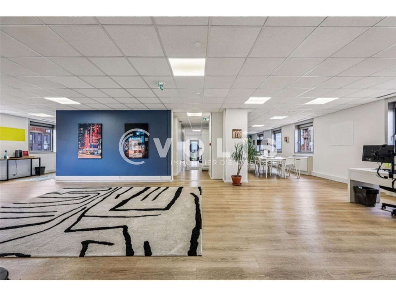 EVOLIS vous propose à la location ou à la vente, 