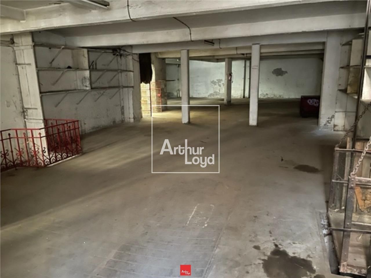 Au coeur de Grenoble, typologie rare de locaux : 