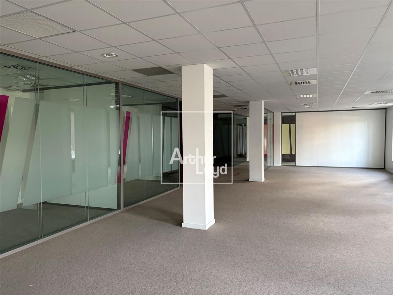 Arthur Loyd Grenoble vous propose des surfaces de