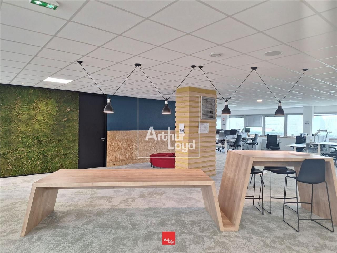 Nous vous proposons à la location, plusieurs surf