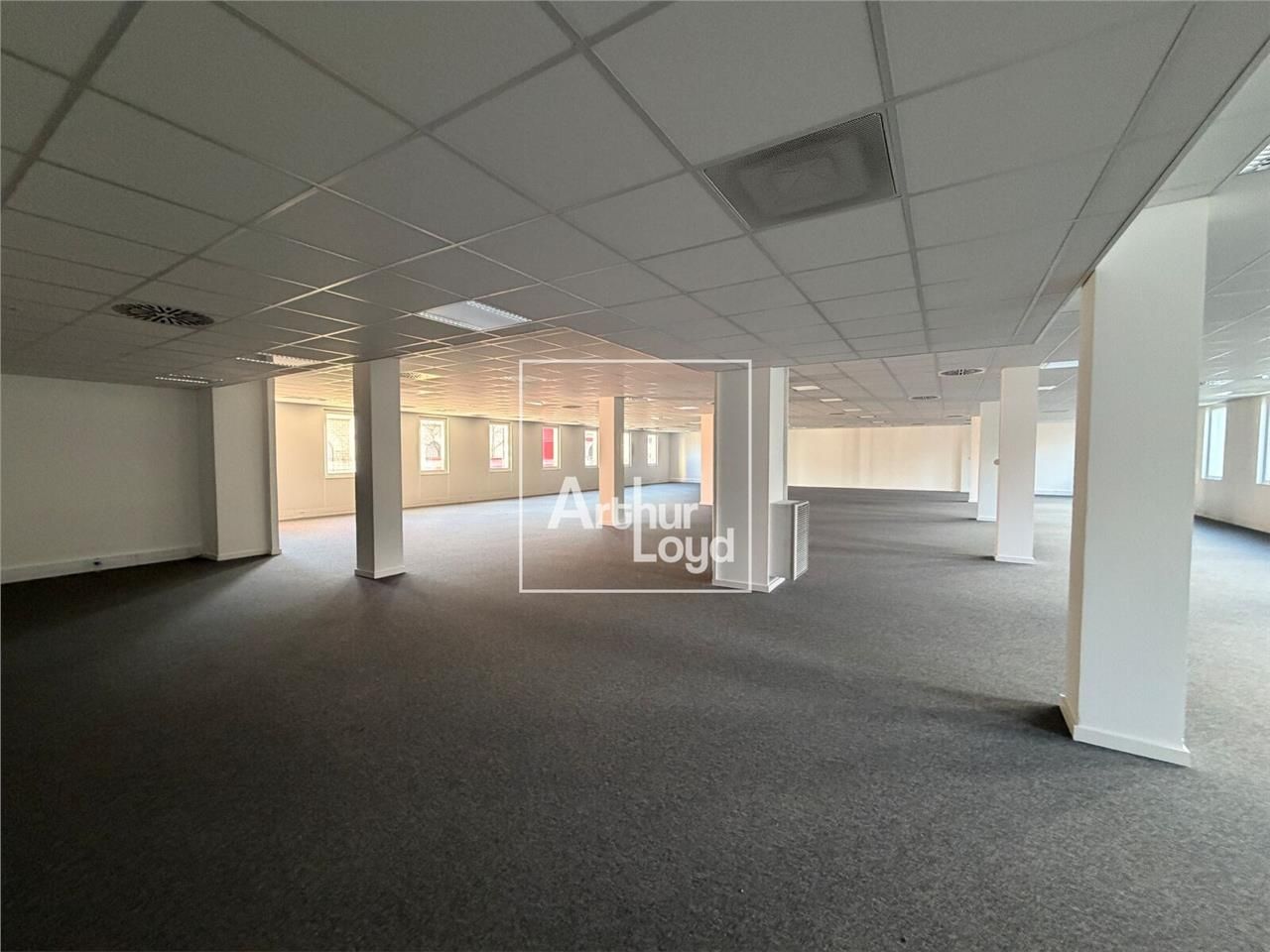 Arthur Loyd Grenoble vous propose des surfaces de