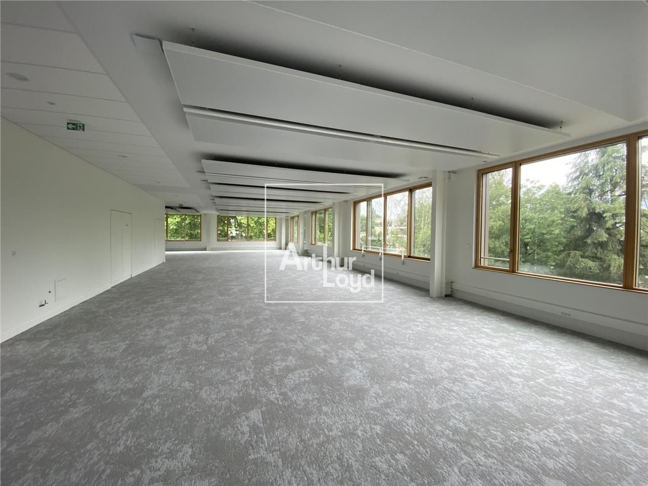 Arthur Loyd Grenoble vous propose des surfaces de