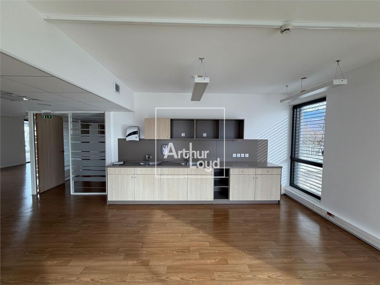 Arthur Loyd Grenoble vous propose une surface de