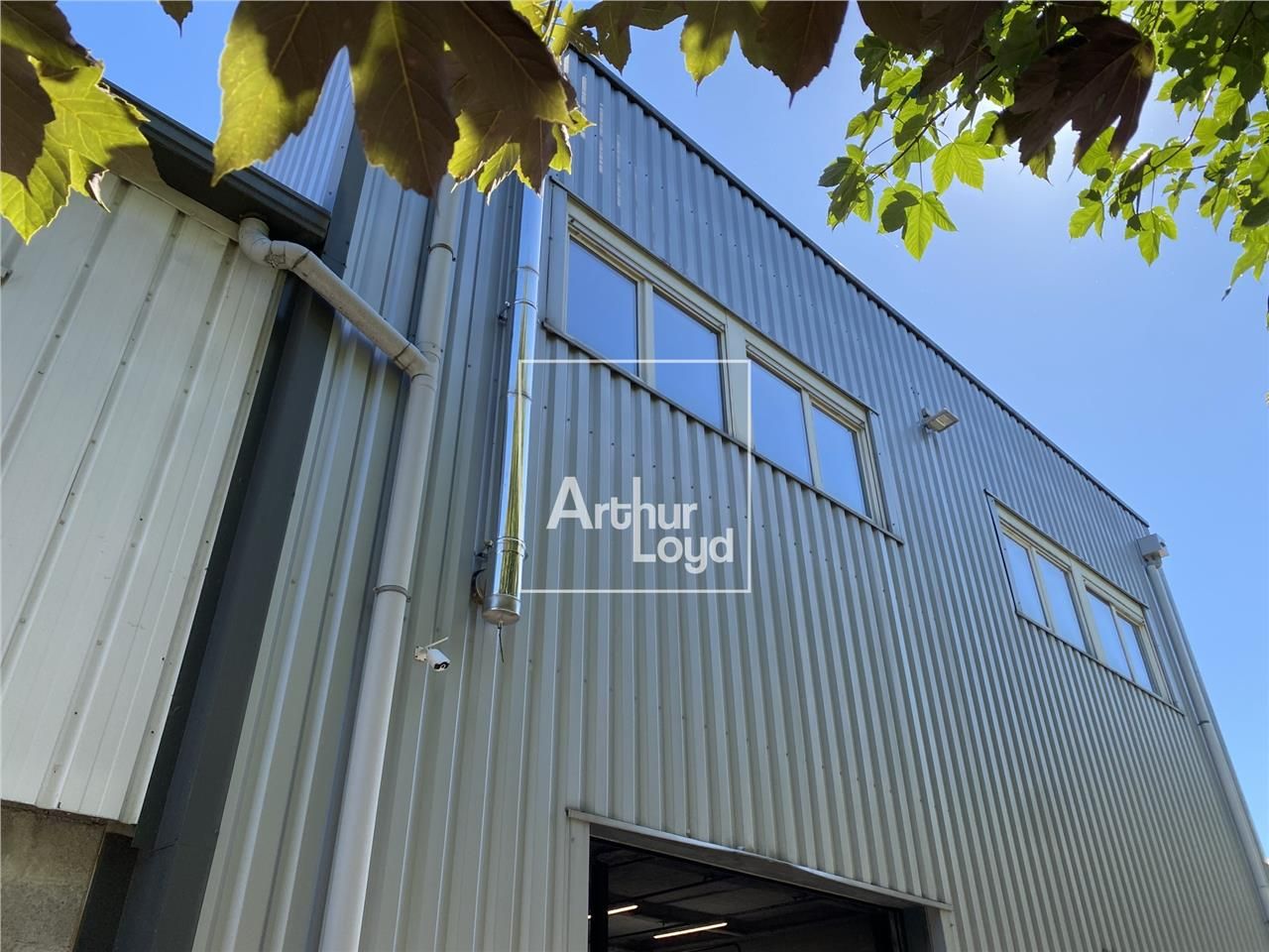 Arthur Loyd vous propose, à la vente une sur