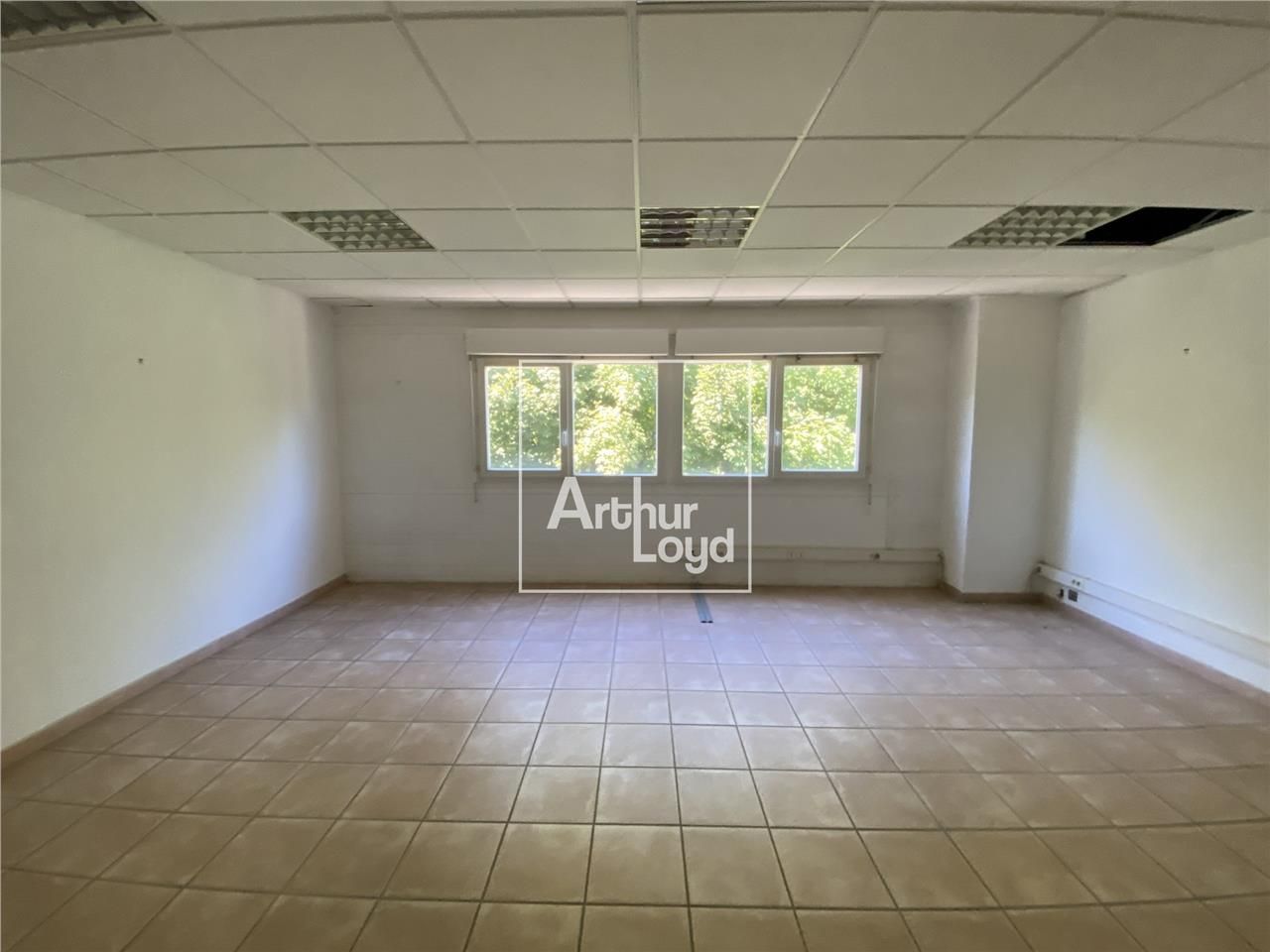 Arthur Loyd vous propose, à la vente une sur