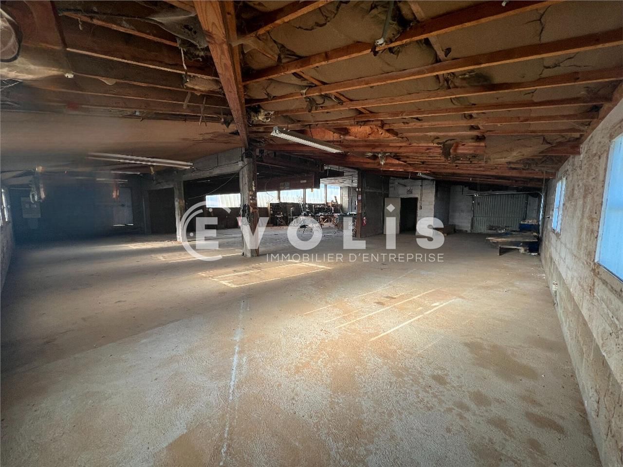 Découvrez une opportunité exceptionnelle avec EVO