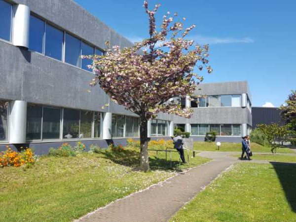 Au sein d'un immeuble tertiaire de bon standing s