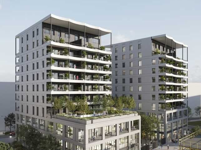 Secteur Euratlantique Armagnac Sud, au pied d'un 