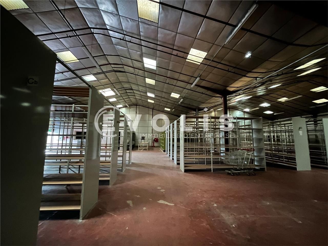 Sur la commune de Villenave-d'Ornon, au sein d'un