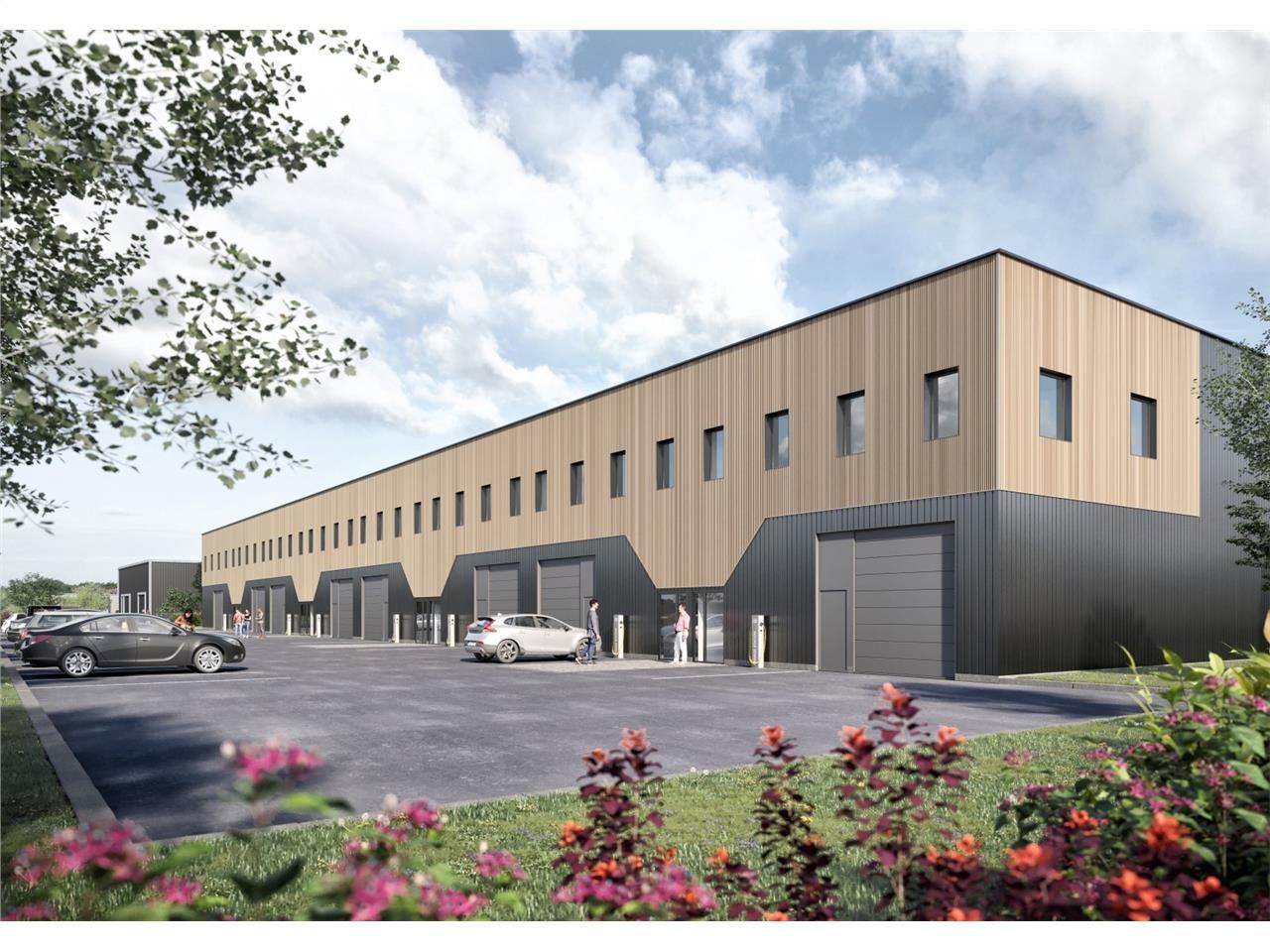 Nous vous proposons à la vente des cellules mixte