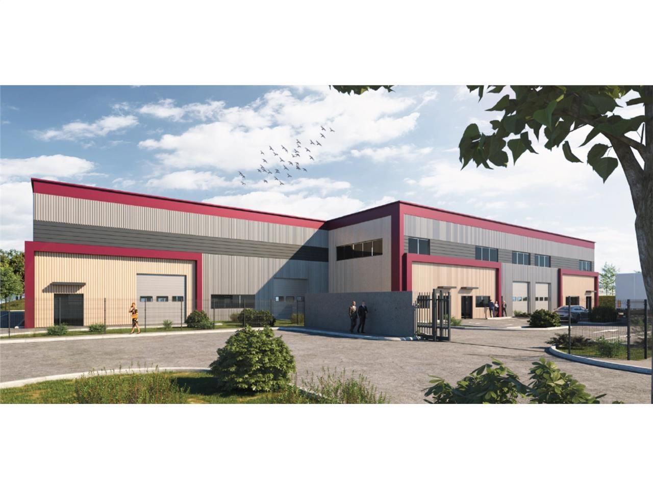 Nous vous proposons à la vente des cellules d'act