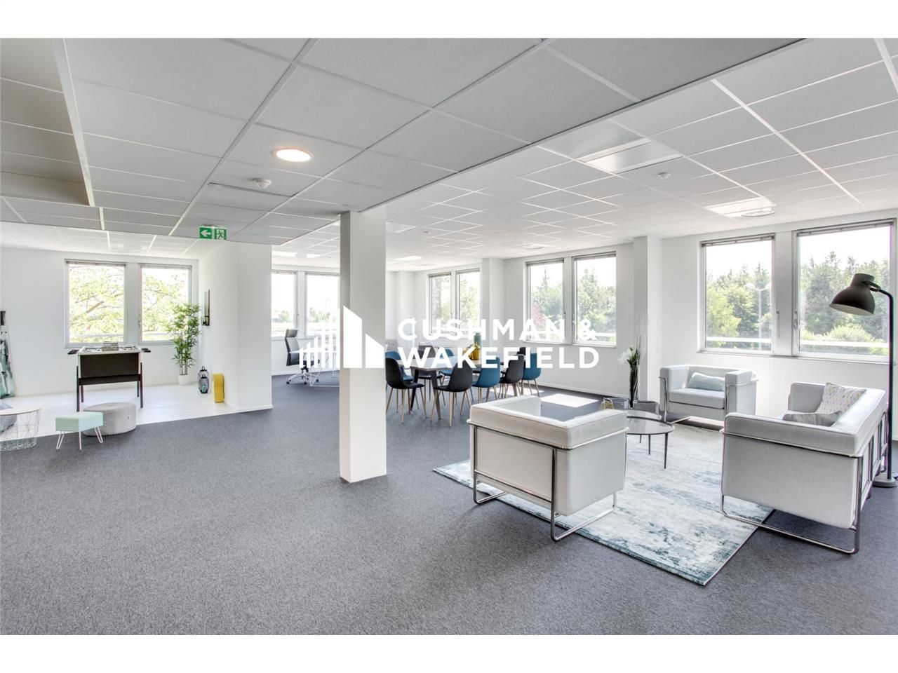 Cuhsman & Wakefield vous propose un immeuble de b