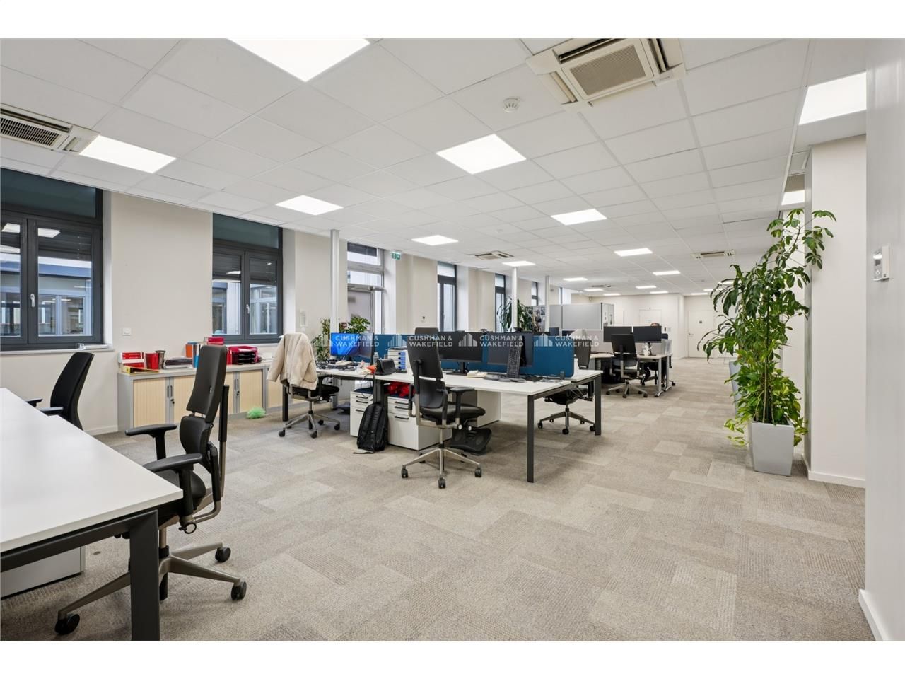 Cushman & Wakefield vous propose une opportunité 