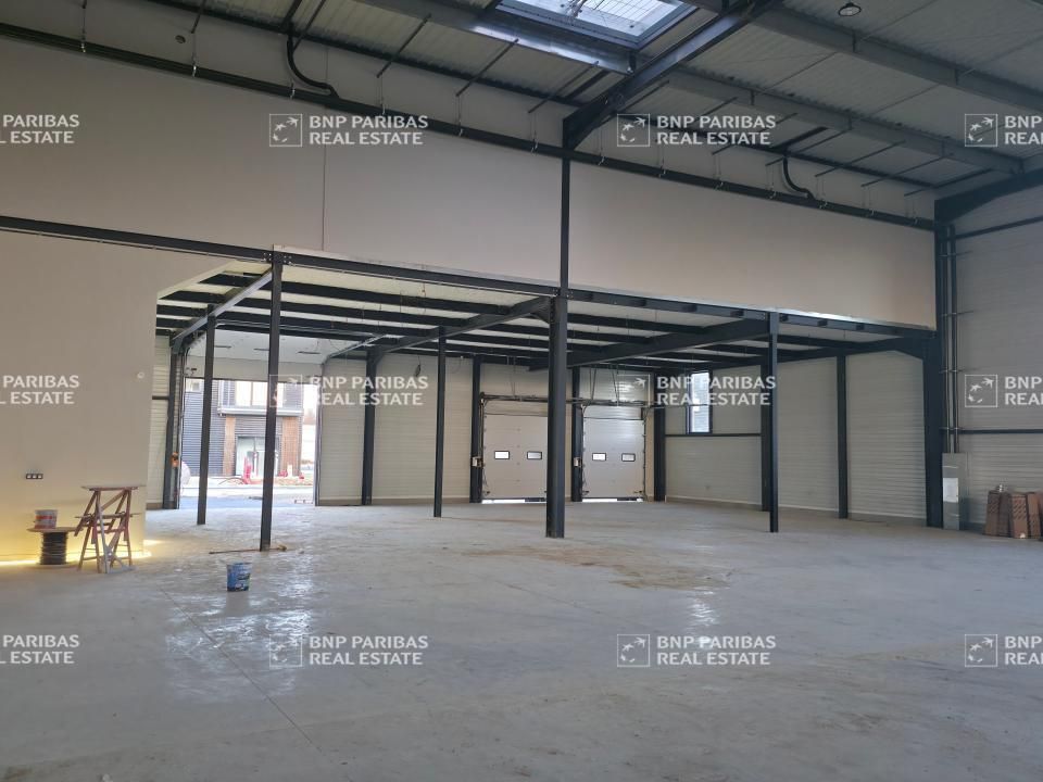 4823.62 m² pour ce pme-pmi en location à La queue-en-brie