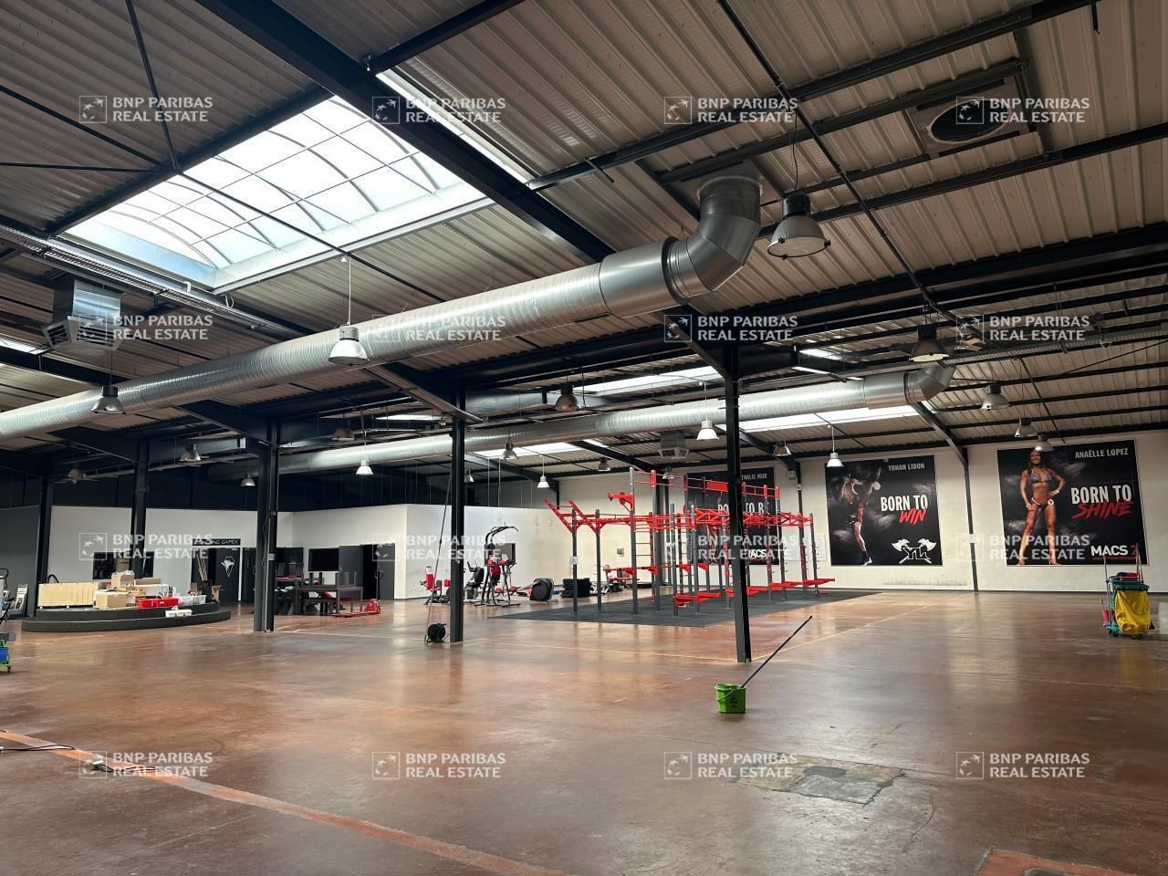 Vente Activité 2637 m² non divisibles 01700 Miribel