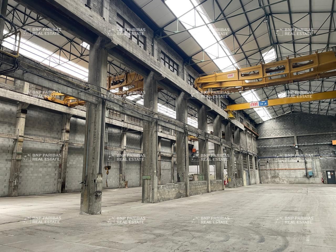 Vente Activité 4218 m² non divisibles 38210 Tullins