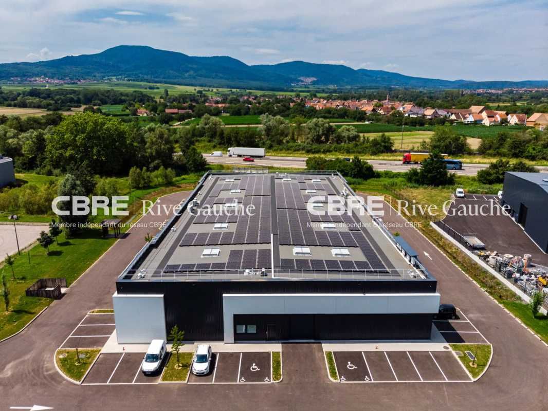 Programme neuf à Goxwiller!  Bâtiment d'activités