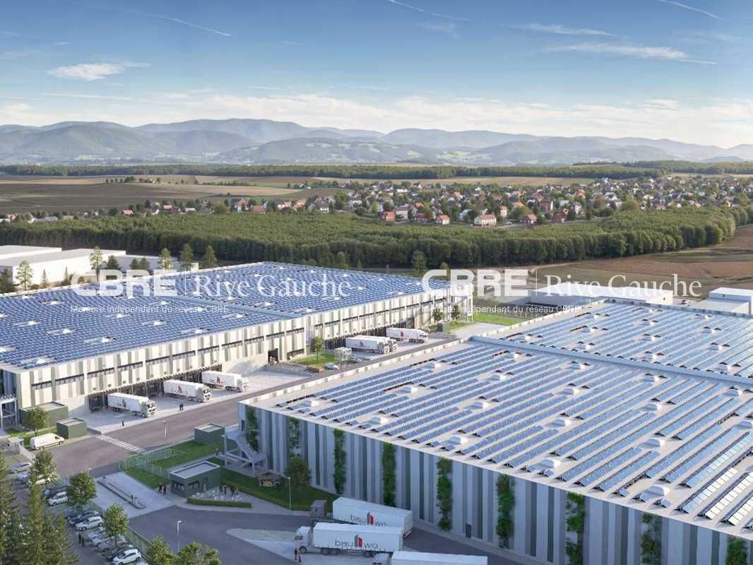 ENTREPOT A CONSTRUIRE 3 Cellules d'entrepôt + bur