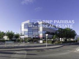 277.25 m² pour ce bureaux en location à Mauguio