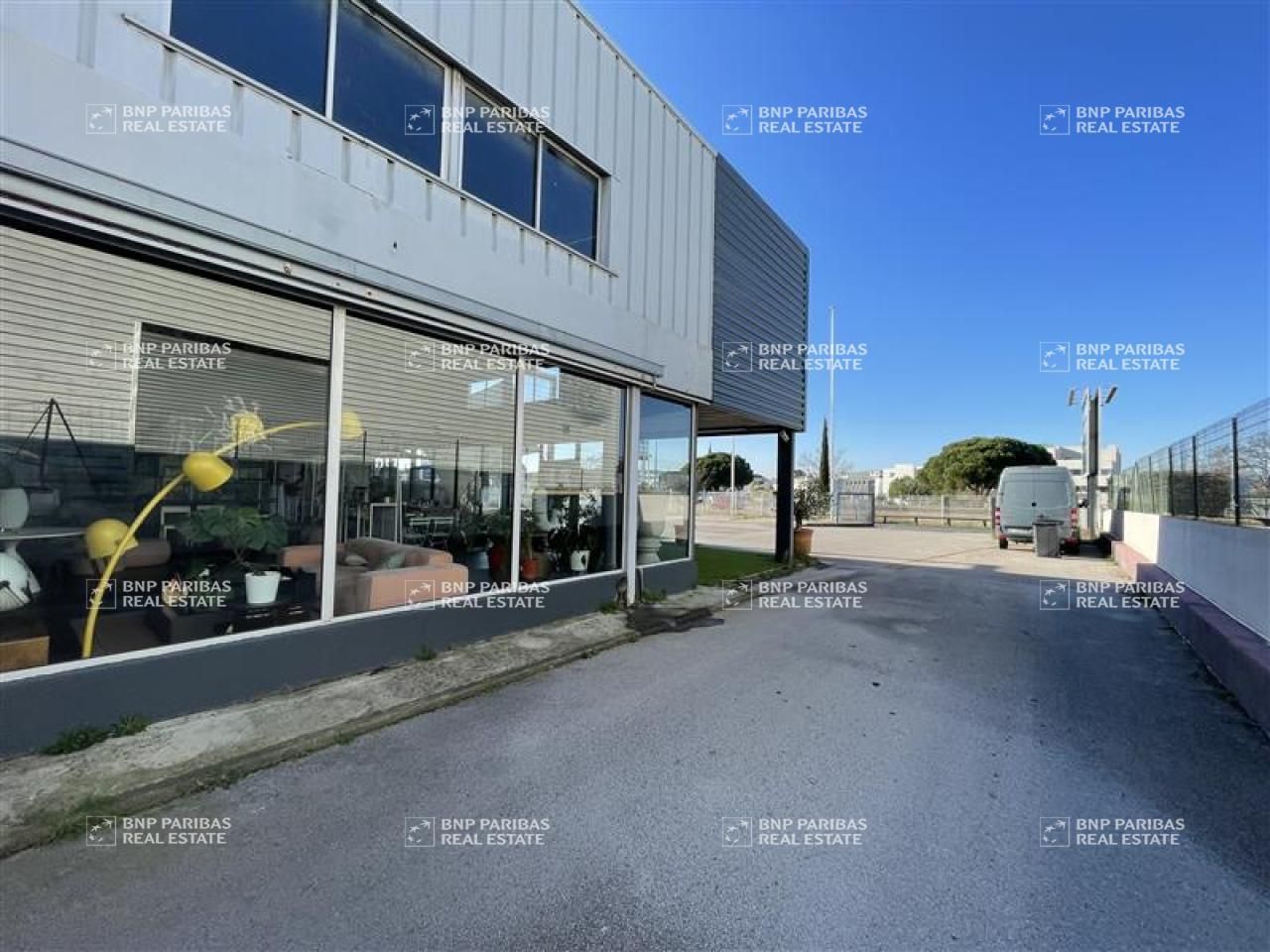 Location local commercial à Mauguio 34130