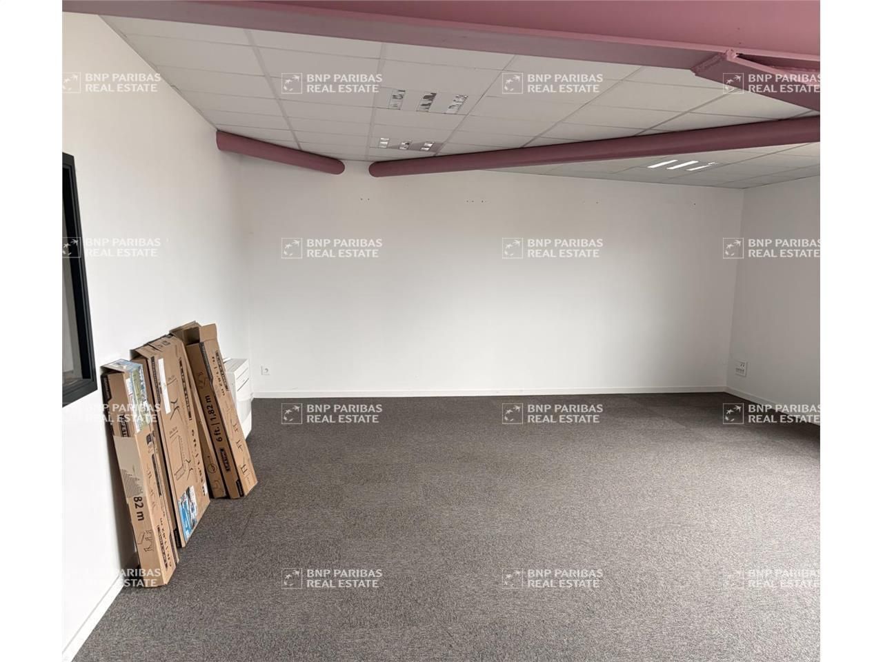 3900 m² pour ce activité en vente à Crémieu