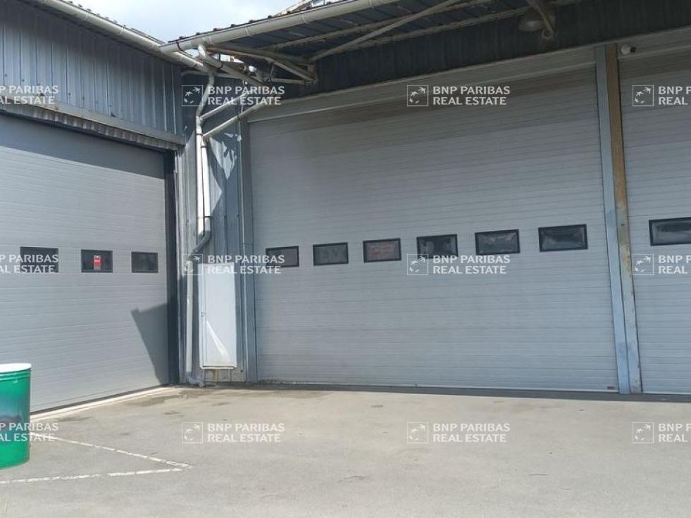 Location Activité 278 m² non divisibles 59113 Seclin