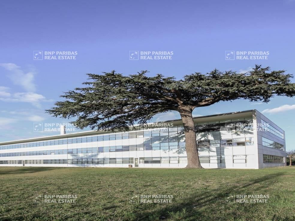 248.56 m² pour ce bureaux en location à Toulouse