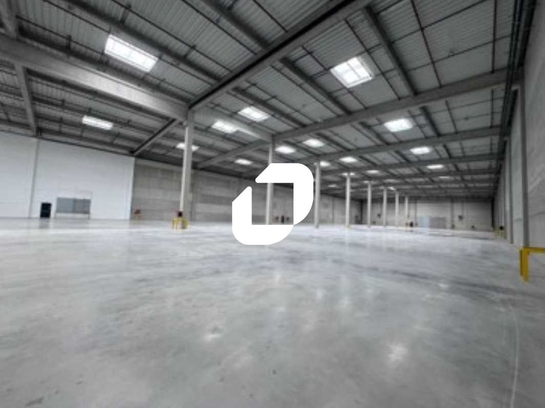 IMMPROVE vous propose à ILLIES - SALOMÉ, au crois