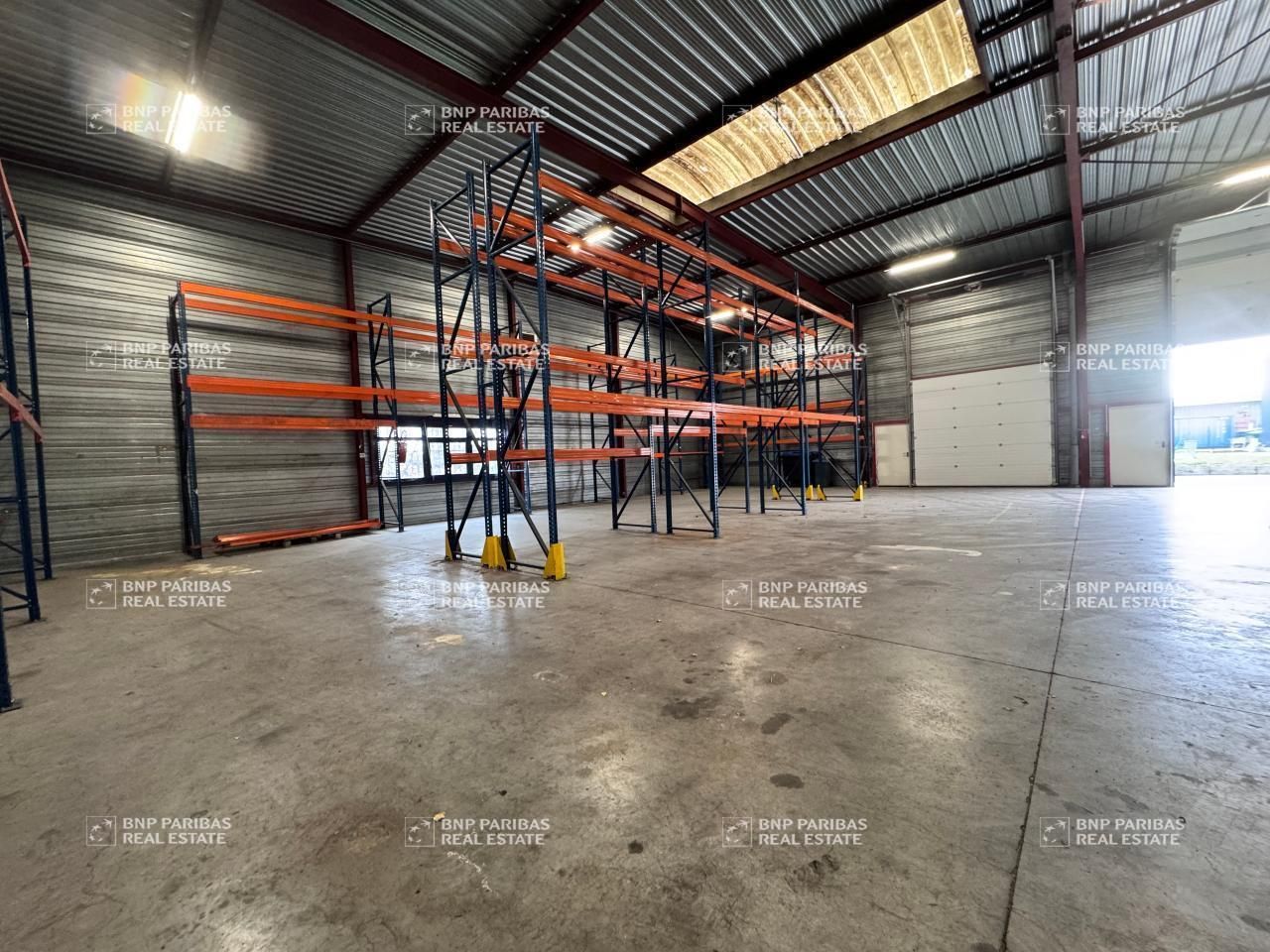 Location activité à Geispolsheim 67118