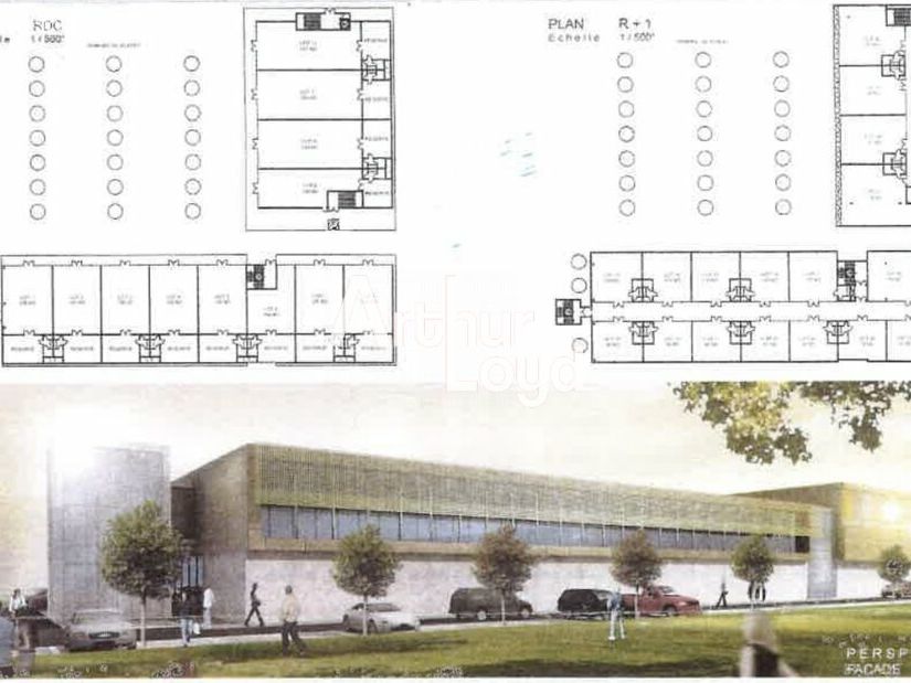 Bureaux à louer 2 503 m² divisibles 