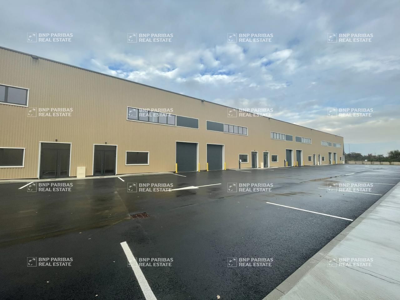 Location d'un activité disponibilité immédiate