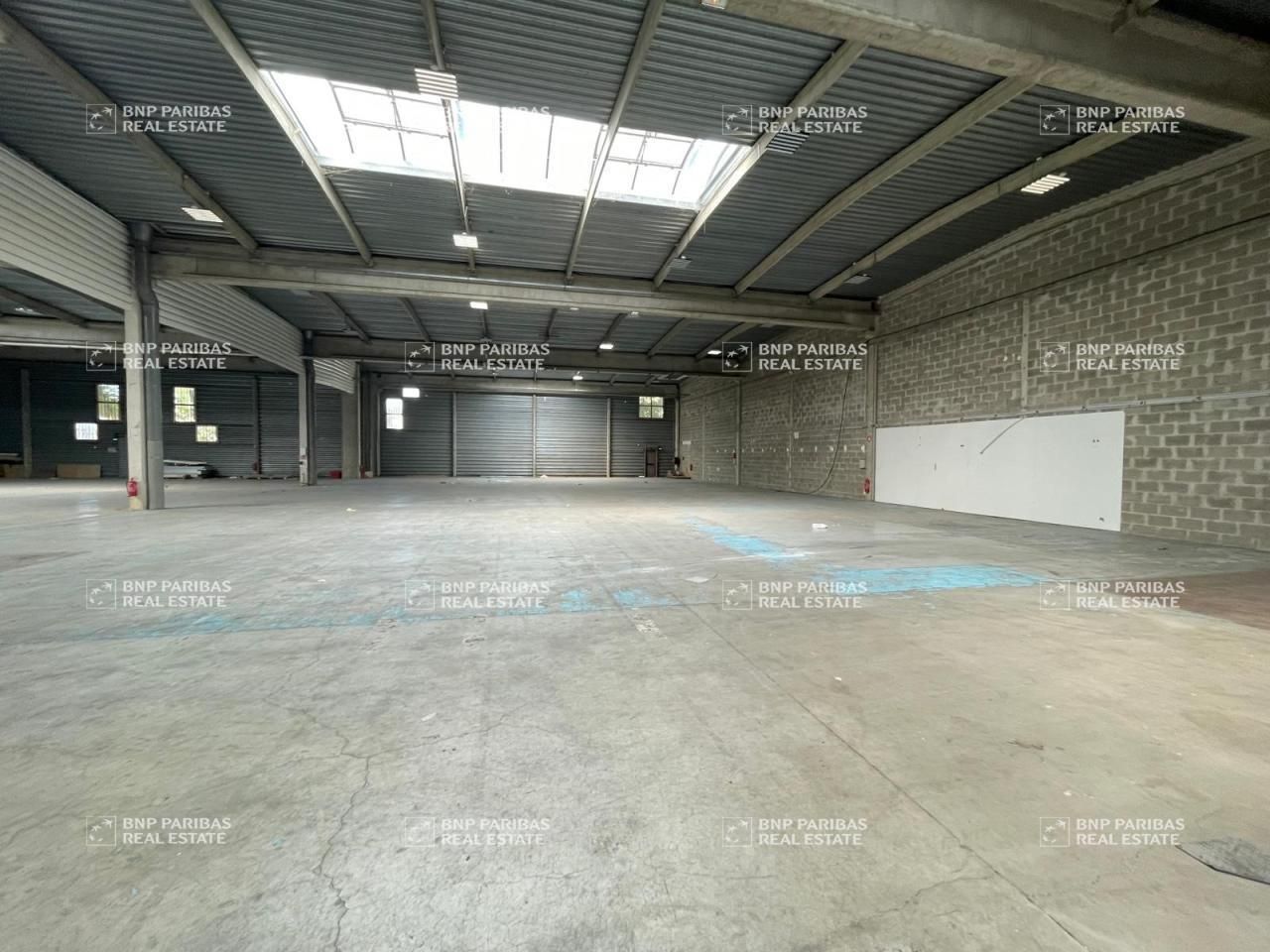 Location PME-PMI 1400 m² divisibles 77183 Croissy-beaubourg