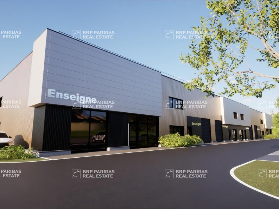 Vente Activité 2028 m² divisibles 67116 Reichstett