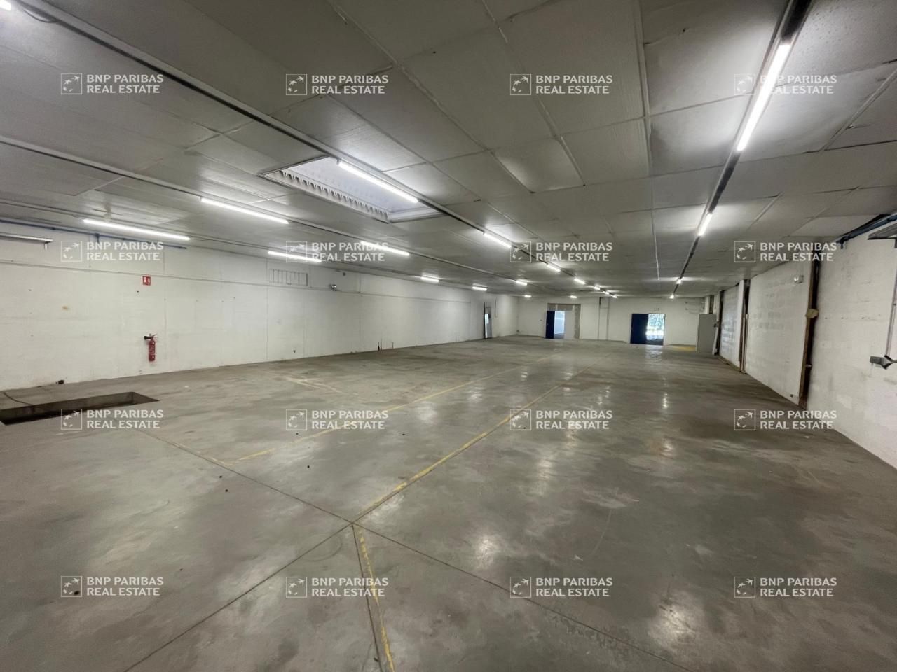 Location Activité 2187 m² non divisibles 59650 Villeneuve-d'ascq