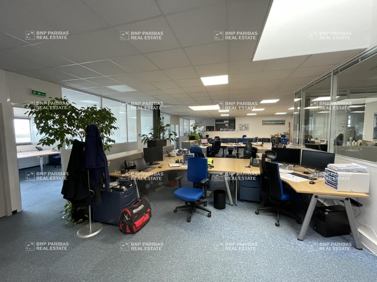 1417 m² pour ce activité en location à Montrabé