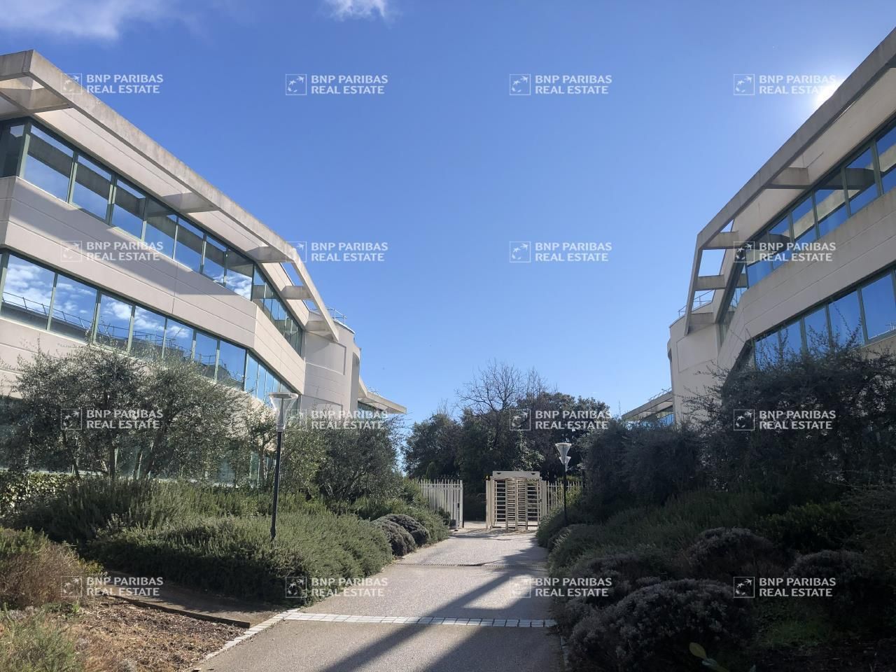 2597.05 m² pour ce bureaux en location à Sophia antipolis