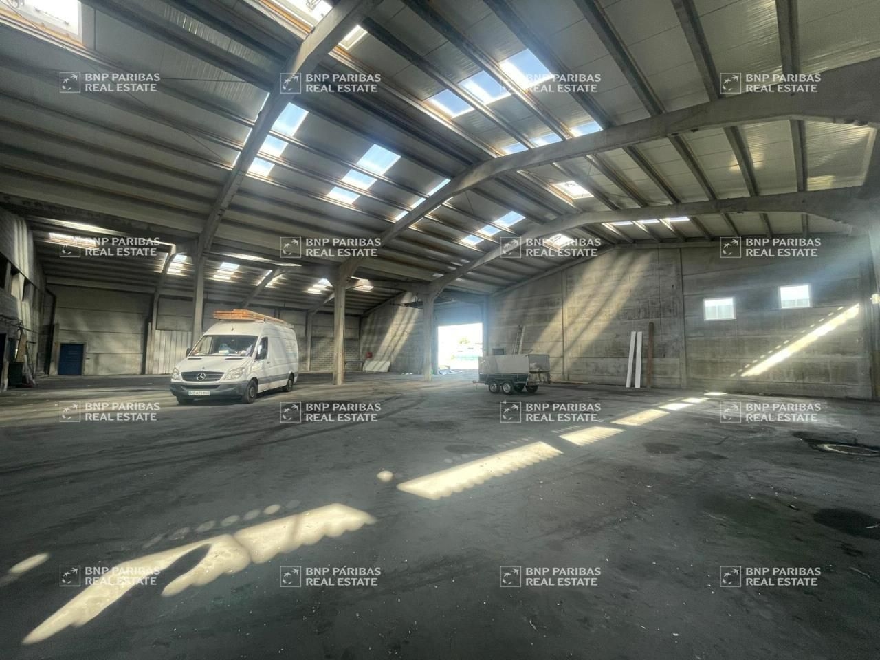 1600 m² pour ce activité en location à Lys-lez-lannoy