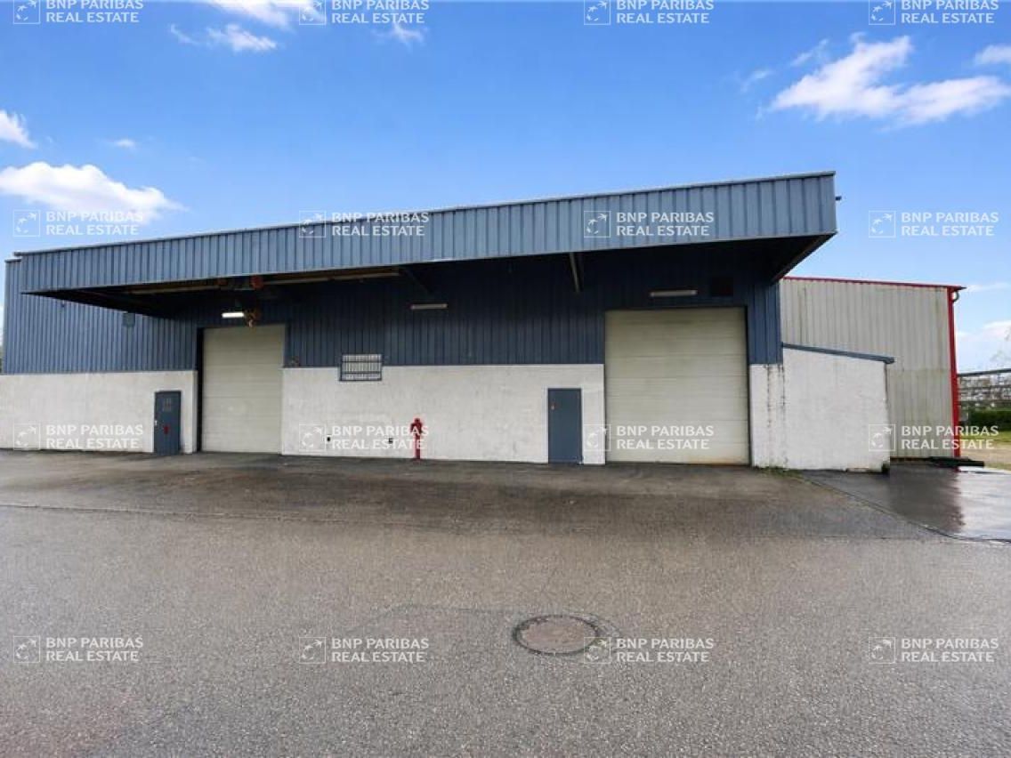 Vente Activité 1302 m² non divisibles 69100 Villeurbanne