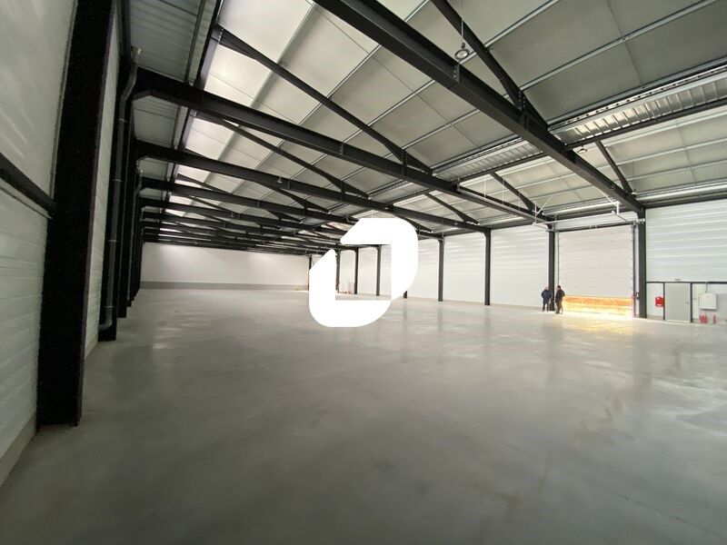 Découvrez une opportunité exceptionnelle avec IMM