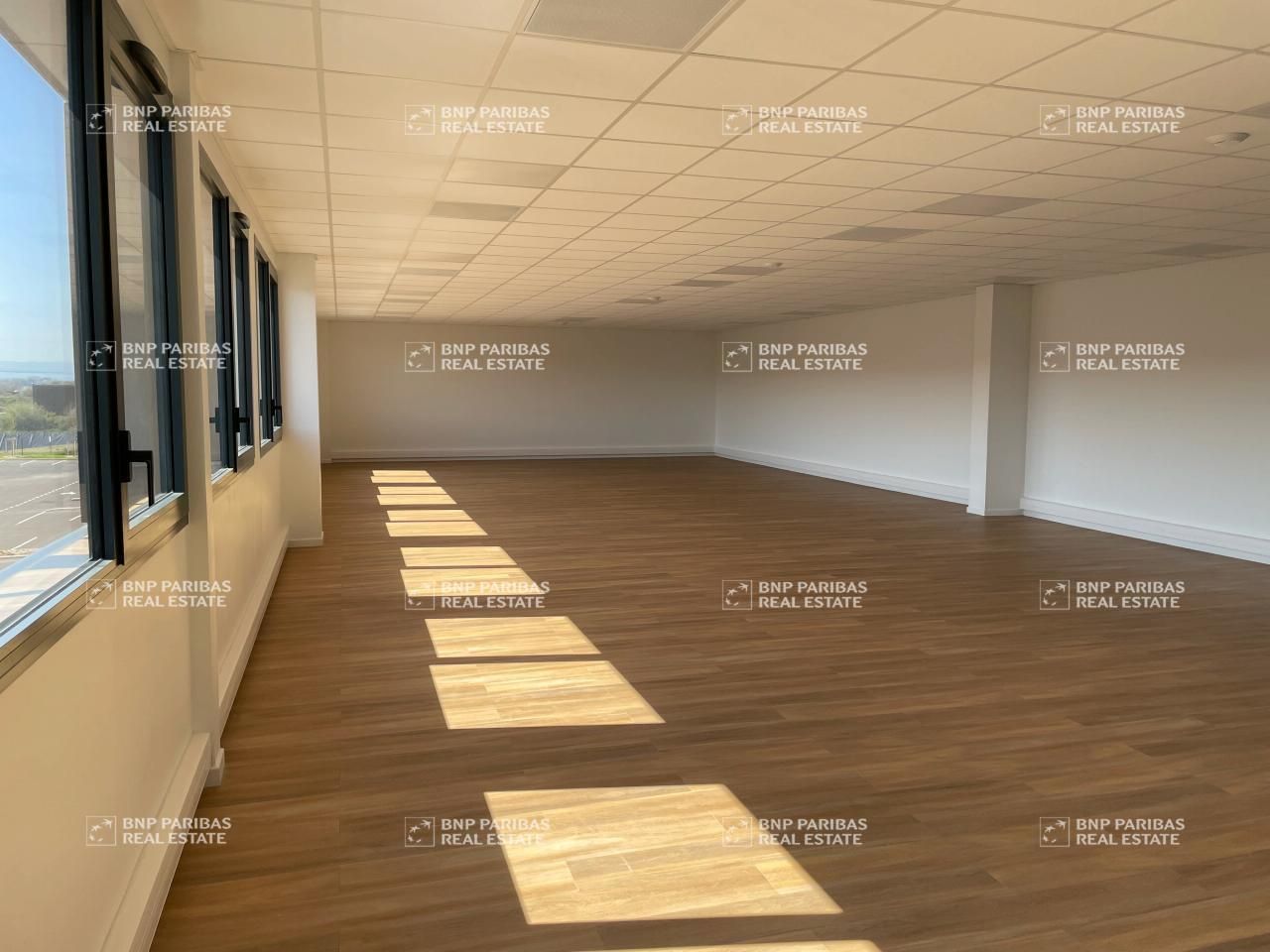 5350.5 m² pour ce activité en location à Saint-bonnet-de-mure