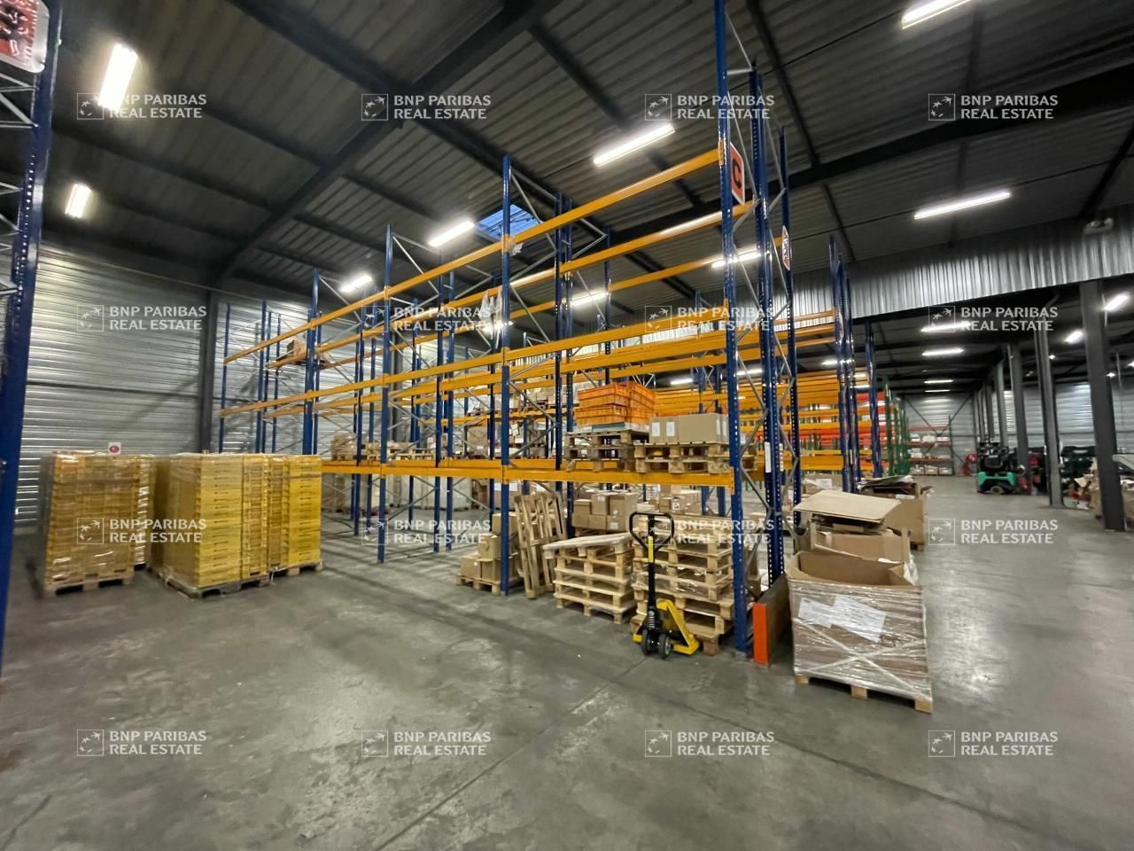 2655 m² pour ce activité en location à Illkirch-graffenstaden