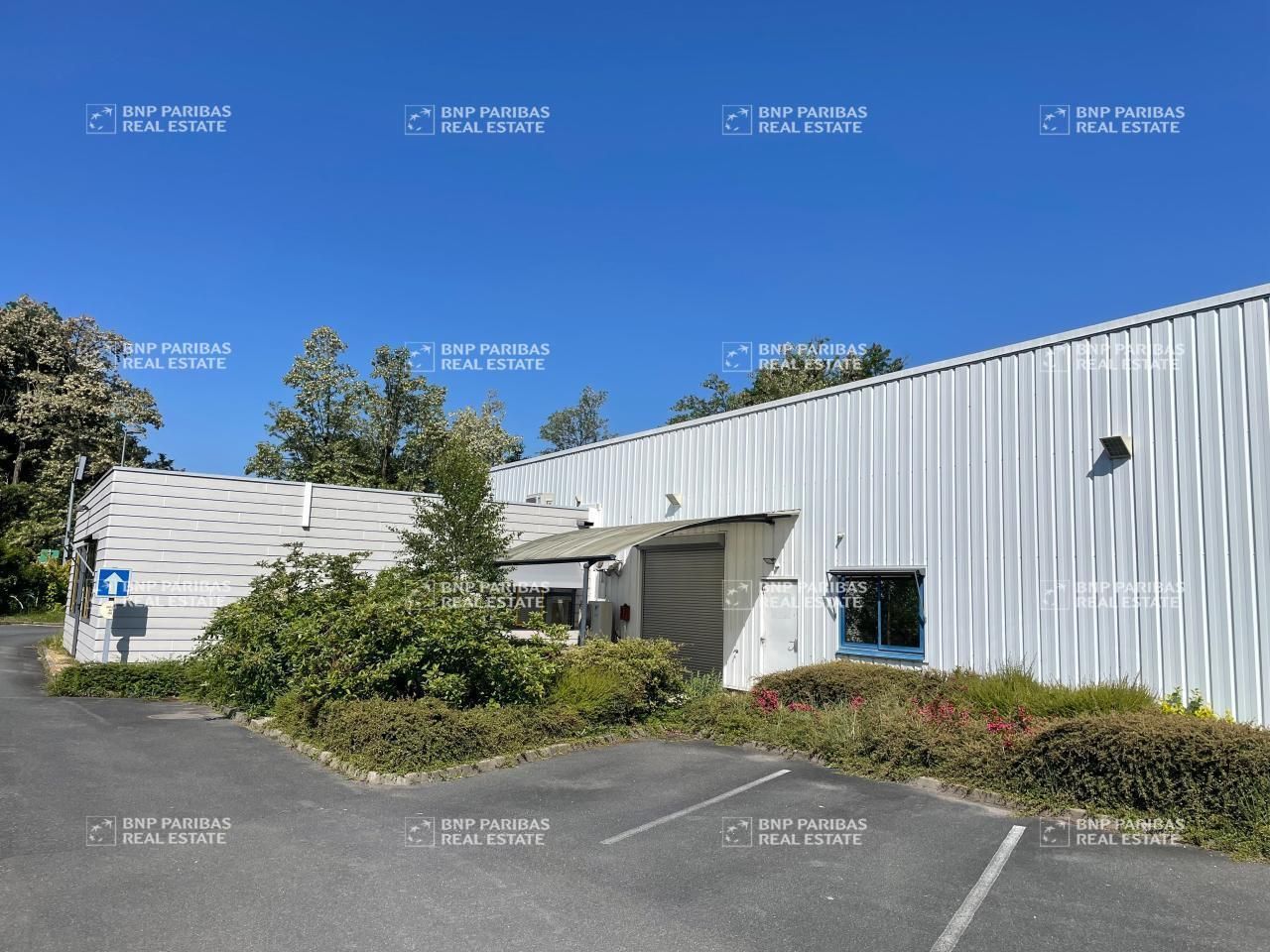 1592 m² pour ce activité en location à Saint-cyr-en-val