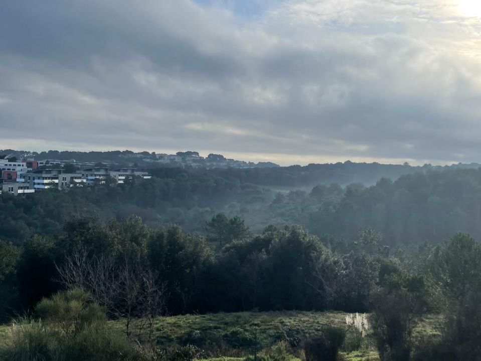 1655.75 m² pour ce bureaux en vente à Biot