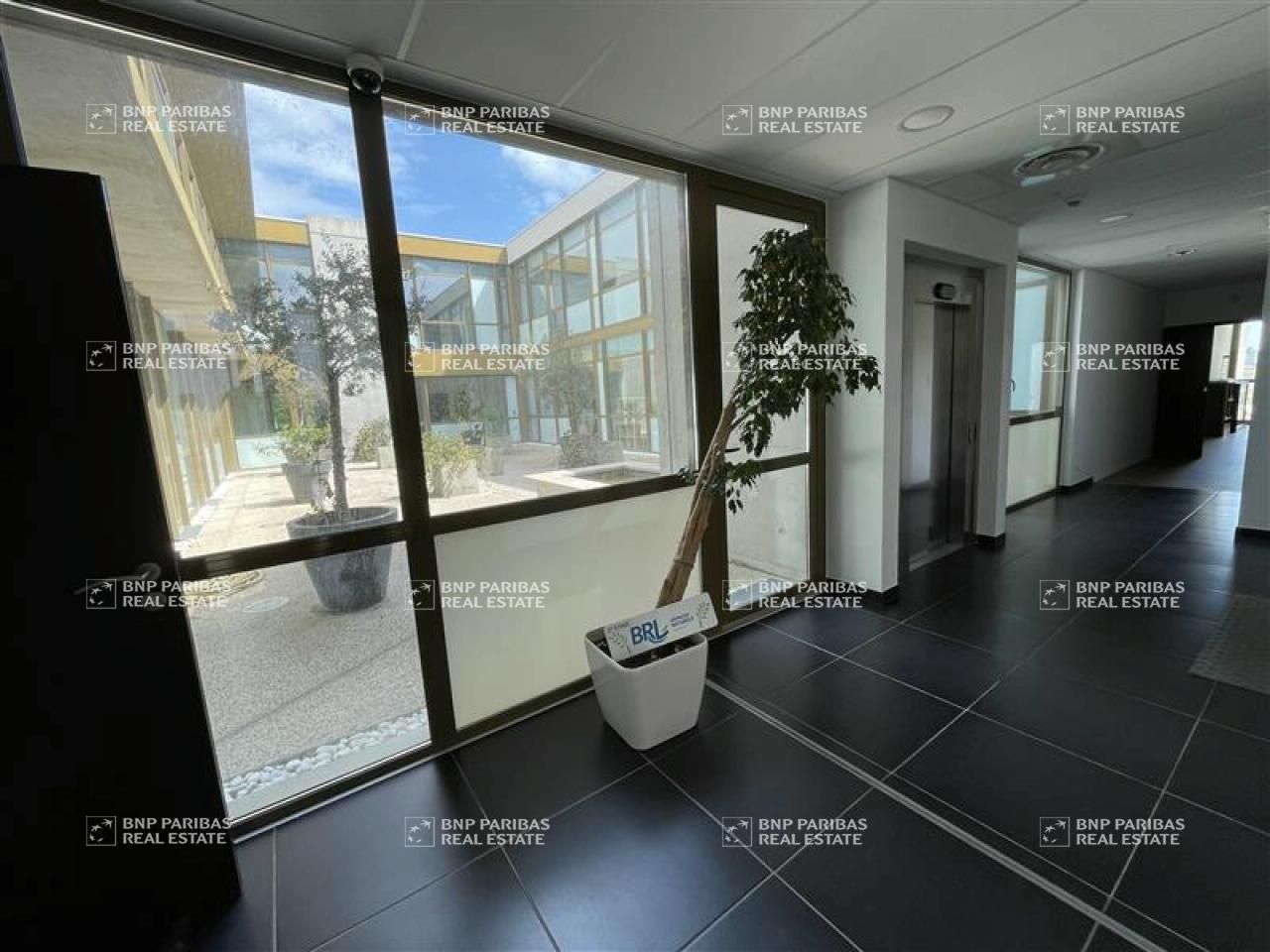 Location bureaux à Mauguio 34130