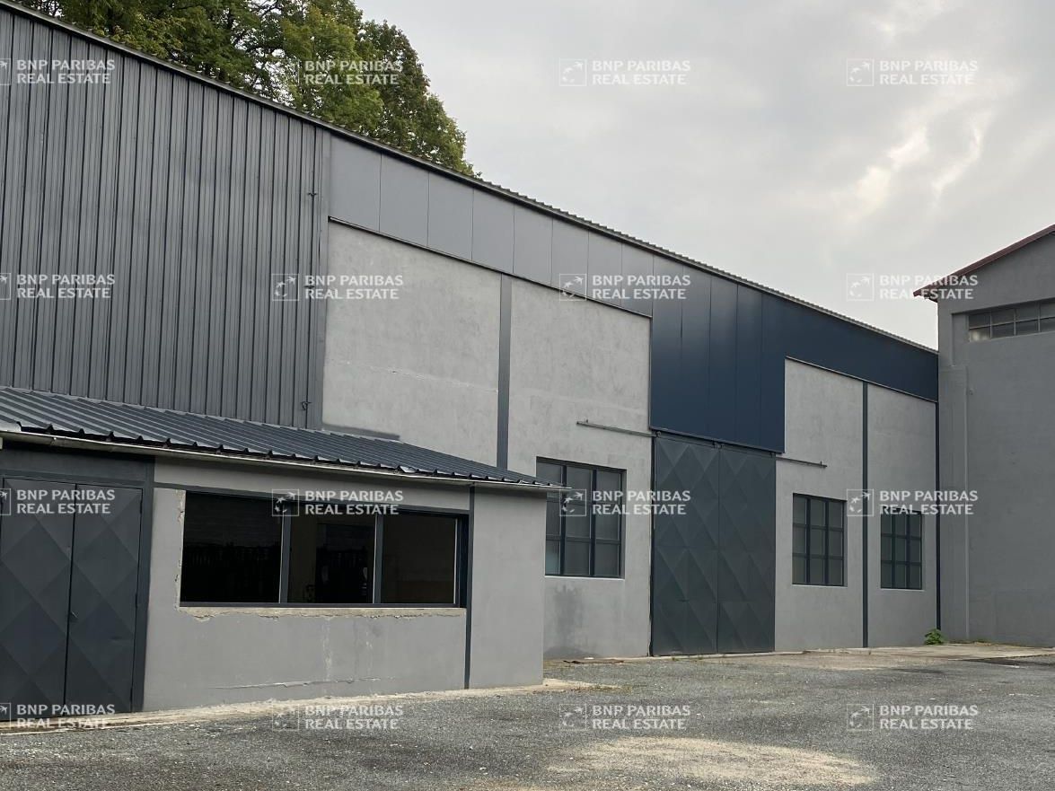 Location Activité 4474 m² divisibles 38210 Tullins