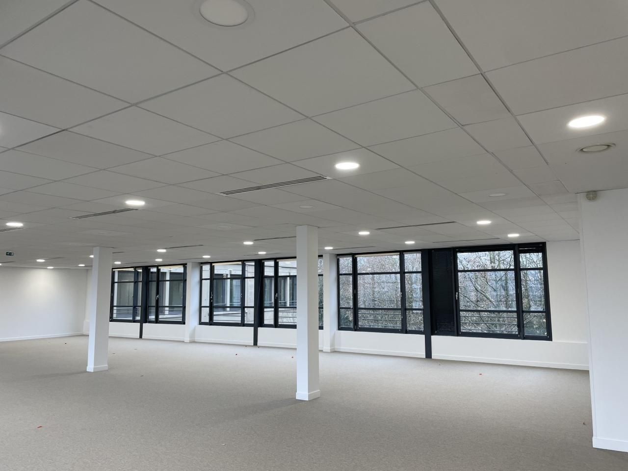 Location Bureaux 11255 m² divisibles 92160 Antony