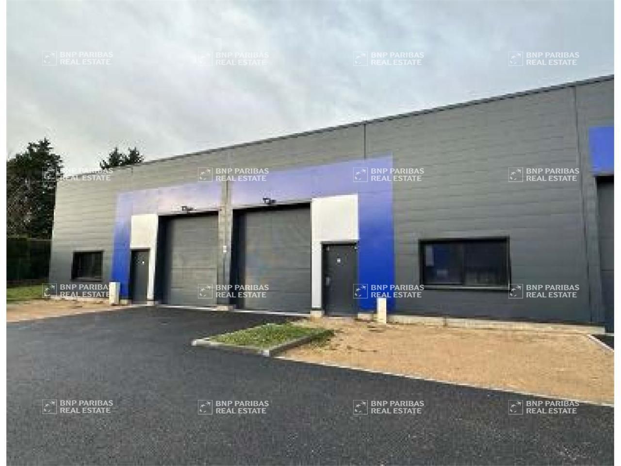 Location Activité 294 m² non divisibles 69480 Pommiers
