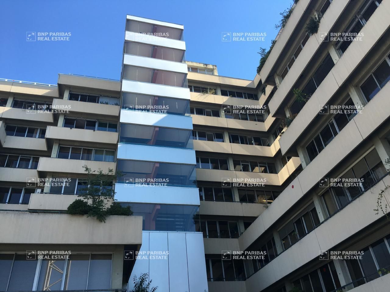 Location Bureaux 447 m² divisibles 31400 Toulouse