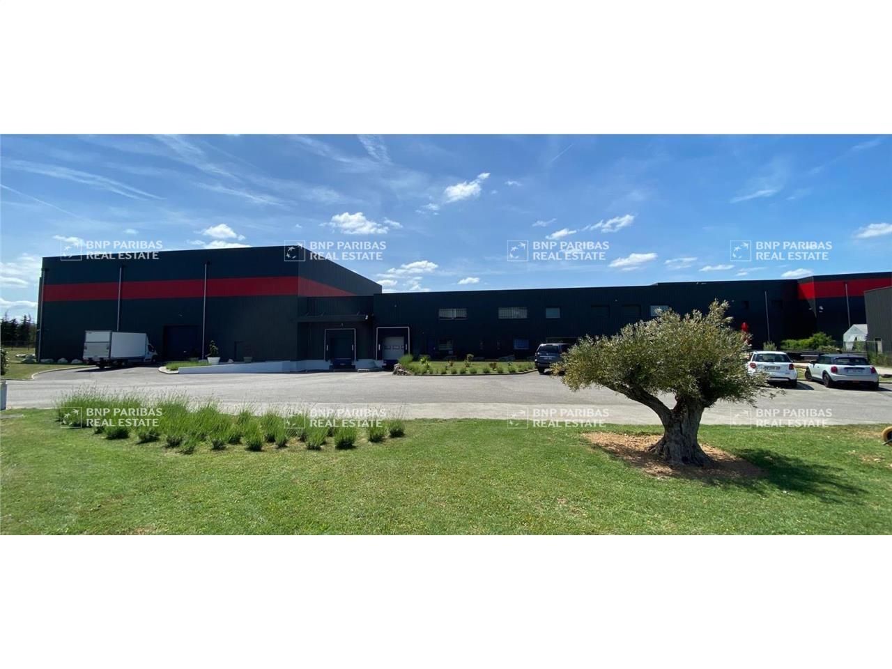 Vente Activité 5231 m² non divisibles 38590 Saint-étienne-de-saint-geoirs