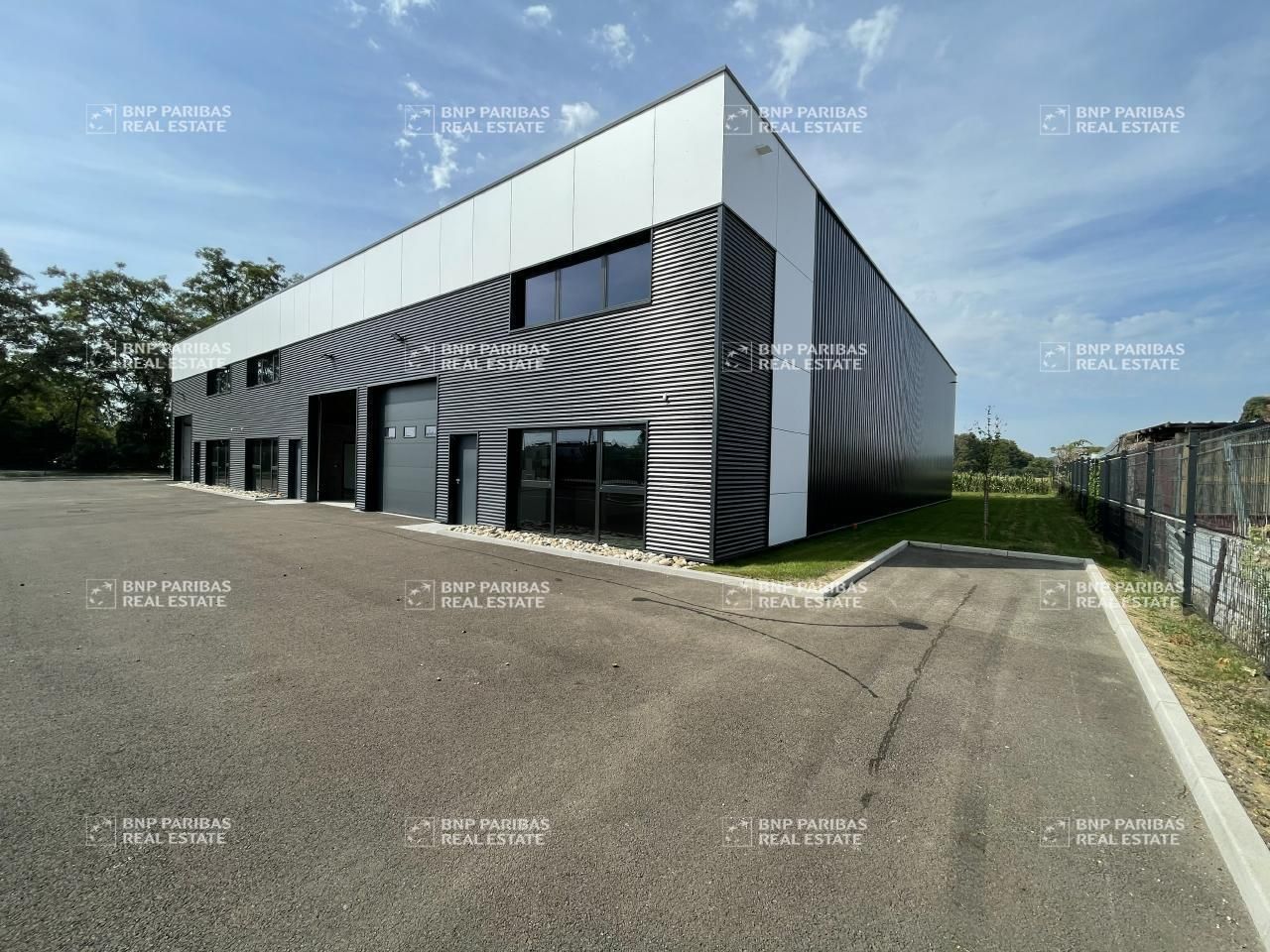 1168 m² pour ce activité en vente à Souffelweyersheim